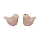 Charming pink love bird salt and pepper shakers, ideal for adding whimsy to your dining table, packaged in a lovely gift box.