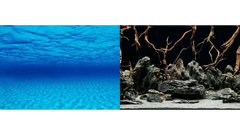 Aquatic Background - Seascape/Natural Mystic 60cm roll showcasing vibrant ocean scenes for stunning aquarium decor.