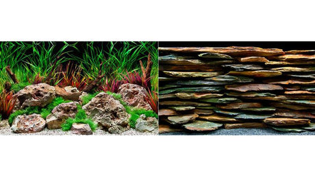 Aquatic background featuring a vibrant slate and wild design, perfect for enhancing aquarium aesthetics and concealing wires.