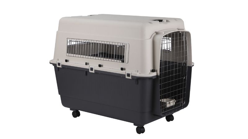 Spacious XXL Airline Carrier for safe pet travel up to 38kg, featuring easy access, moisture control, and included water dish.