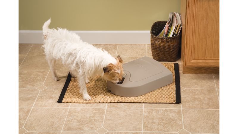 Automatic pet feeder with 5 compartments, customizable schedules, and easy clean-up for healthy feeding habits.