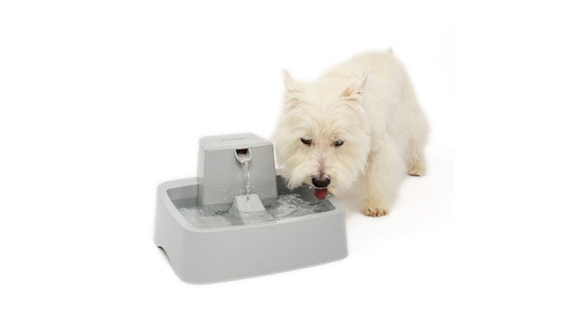 Drinkwell 3.7L Pet Fountain with free-falling water stream and adjustable flow, promoting hydration for dogs and cats.