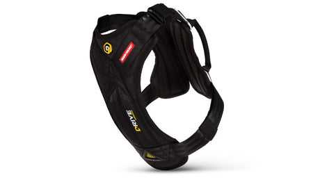 Black ED Drive Medium Dog Harness for safe car travel, featuring durable materials, Mag-Lok closure, and safety compliance.