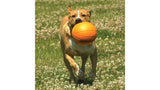 Durable Nylabone Basketball Gripz toy for dogs, featuring an easy-grip design for bouncing and tugging fun during playtime.