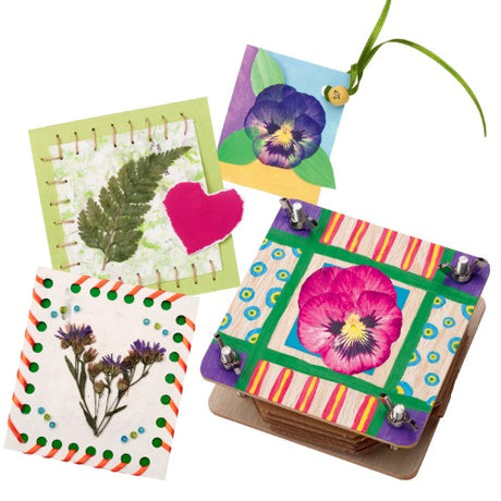 Alex Flower Press Kit with materials for preserving flowers, painting, and crafting beautiful keepsakes for nature lovers.