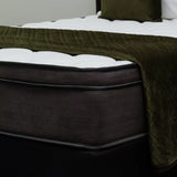 Euro Top Mattress in King Single with pocket coils, soft-firm foam layers, and an anti-allergy cover for restful sleep.