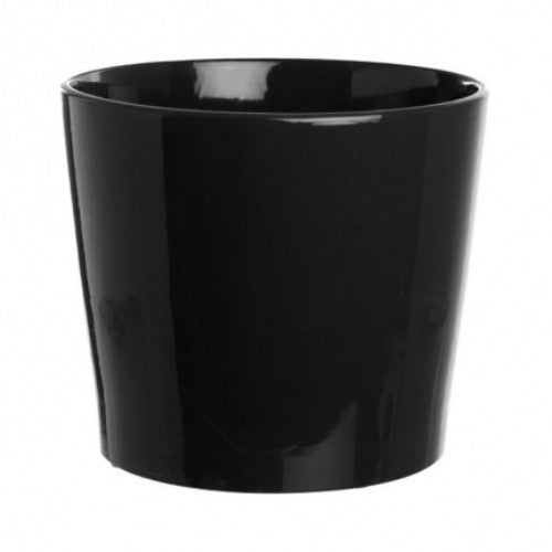 Elegant black ceramic cylinder vase, 8cm x 15cm, perfect for flowers or succulents in modern decor.