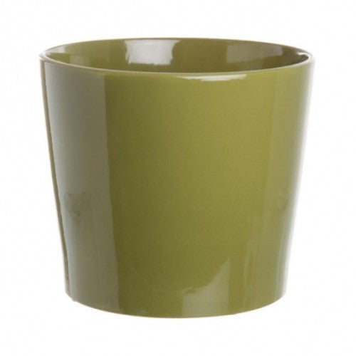 Ceramic Cylinder (Moss) planter with a unique moss finish, perfect for succulents and enhancing indoor decor.