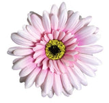 Lifelike pink silk Gerbera flowers, 57cm tall, perfect for centerpieces and home decor, offering everlasting beauty.