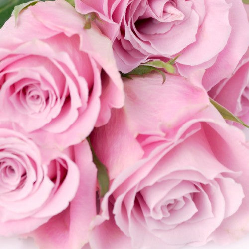 Gift Card - Pink Roses - Pack of 10