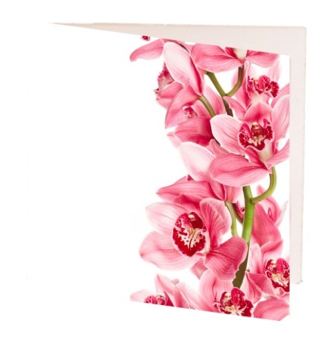 Elegant pink orchid gift cards, 7cm x 7cm, perfect for any occasion, crafted on high-quality cardstock. Pack of 10.