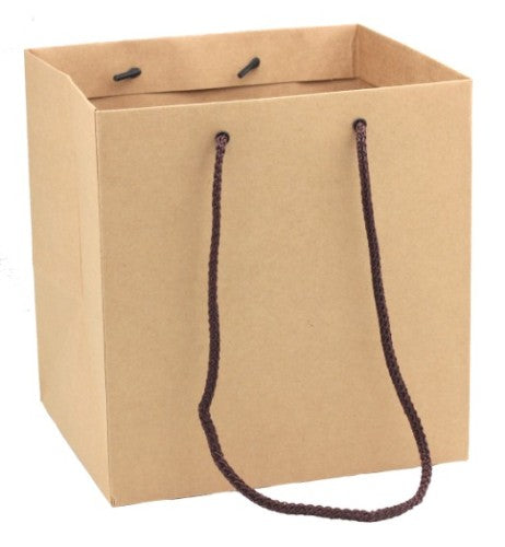 Medium brown Kraft paper bags, eco-friendly and sturdy, perfect for retail, groceries, or gifts; set of 10 units.