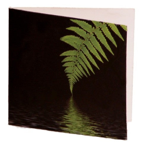 Fern-themed gift cards pack of 10, 7cm x 7cm, eco-friendly design for elegant gifting occasions.