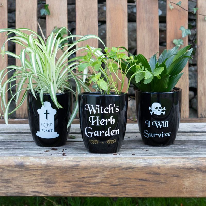 Ceramic plant pot featuring 'Witch's Herb Garden' text and leaf design, perfect for growing magical herbs indoors.