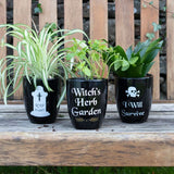 Ceramic plant pot featuring 'Witch's Herb Garden' text and leaf design, perfect for growing magical herbs indoors.