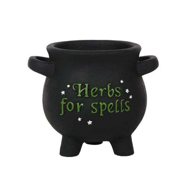 Small cauldron-shaped plant pot with 'Herbs for spells' text and star accents, ideal for growing herbs and witchy decor.