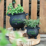 Small cauldron-shaped resin plant pot with 'Herbs for spells' text, ideal for cultivating herbs in a witchy garden.