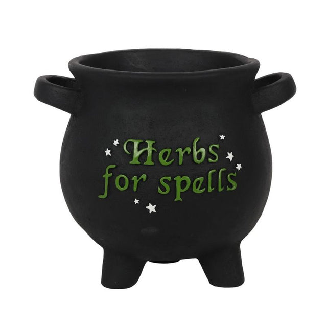 Large cauldron-shaped plant pot with 'Herbs for spells' text and stars, perfect for green witches and magical gardens.