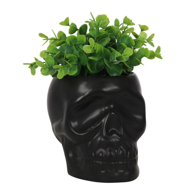 Black ceramic skull plant pot, H:12 x W:11.5 x D:10.5 cm, perfect for indoor and outdoor use, ideal for succulents and herbs.