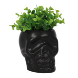 Black ceramic skull plant pot, H:12 x W:11.5 x D:10.5 cm, perfect for indoor and outdoor use, ideal for succulents and herbs.