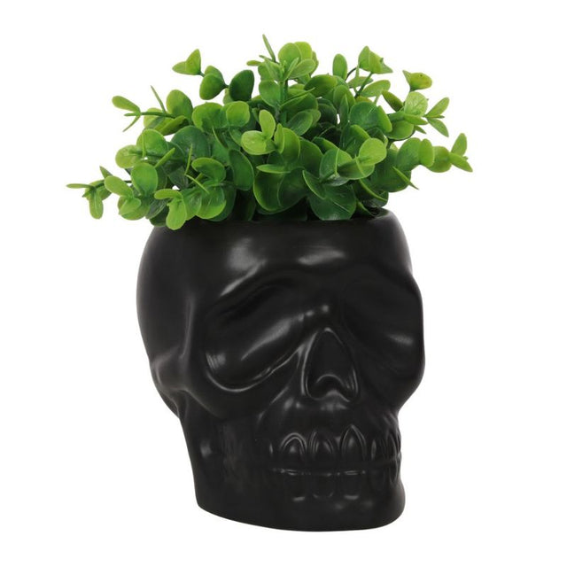 Black ceramic skull plant pot, H:12 x W:11.5 x D:10.5 cm, perfect for indoor and outdoor use, ideal for succulents and herbs.