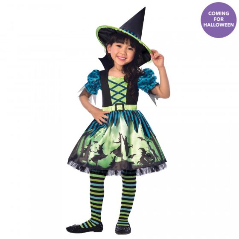 Charming Hocus Pocus witch costume for girls 4-6, featuring a colorful dress and matching hat for magical play.