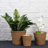 Set of 3 handcrafted seagrass baskets with metal liners, perfect for stylish storage and eco-friendly home decor.