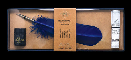 Elegant blue quill pen and ink set for calligraphy, includes 25ml black ink and tips for mastering traditional writing.