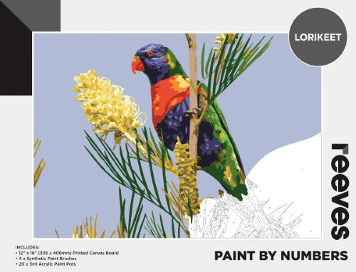 Reeves Paint By Numbers kit featuring a vibrant lorikeet on a 12x16 inch canvas, complete with brushes and paints.