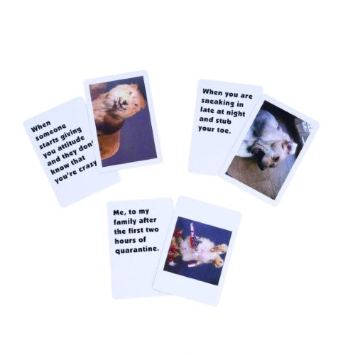 Memes Card Game - What the F*ck? features 150 meme and caption cards for hilarious gameplay at parties or gatherings.