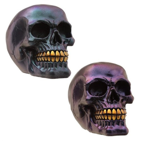 Set of 2 assorted dark metallic and gold skulls, intricately designed for unique home decor and gothic aesthetics.