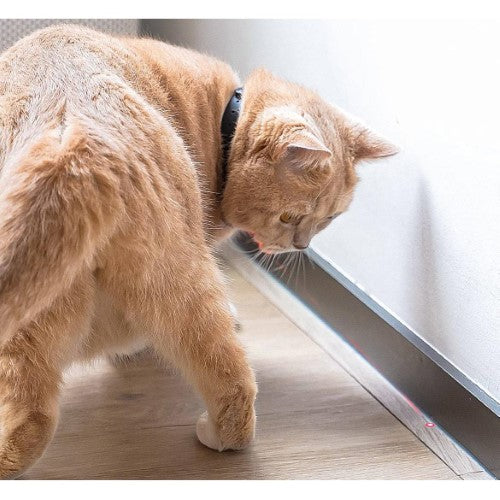 Collar Cat Toy - Flipside Cheerble Kitidot