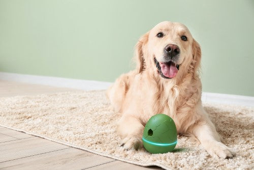 Cheerble Wicked Egg in Olive Green, an interactive treat dispenser that wobbles, spins, and challenges dogs with rewarding play.