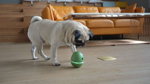 Cheerble Wicked Egg in Olive Green, an interactive treat dispenser that spins and wobbles to engage and train dogs.