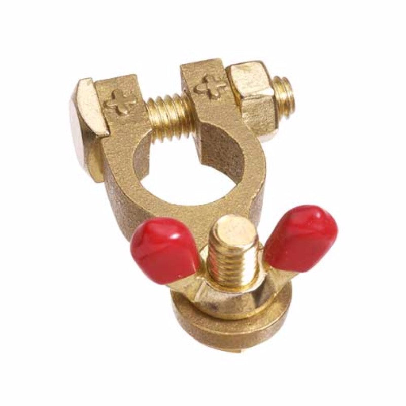 Projecta -Brass Battery Terminal Wing Nut Pos