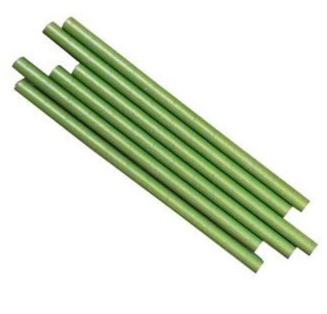 Eco-friendly green paper straws, 10mm x 200mm, pack of 250, perfect for enhancing drinks at any occasion.