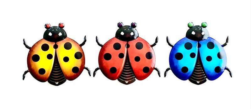 Vibrant metal ladybird wall art set of 12, perfect for adding whimsical charm to any indoor or outdoor space.