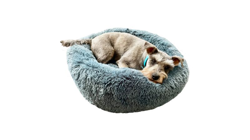 Luxury doughnut-style pet bed in blue, 60cm wide, designed for small pets to reduce anxiety and provide cozy comfort.