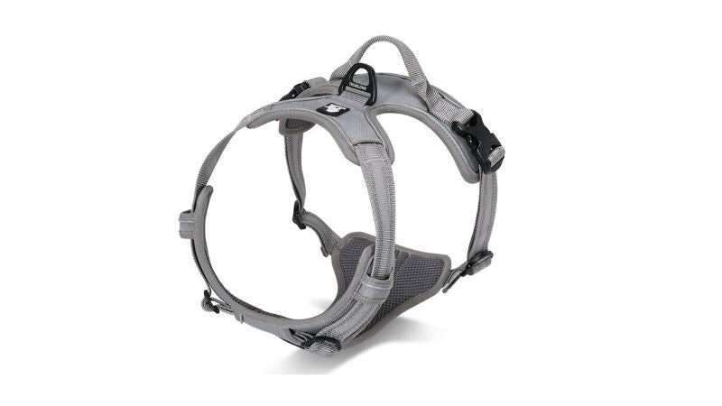 Dog Harness - Deluxe Mesh Grey (XL)