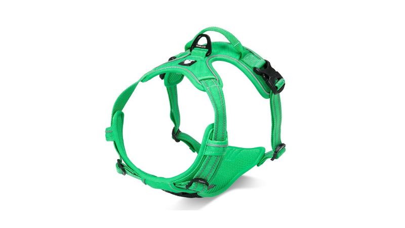 Dog Harness - Deluxe Mesh Green (XL)