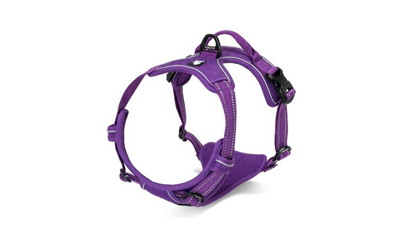 Deluxe Mesh Purple Dog Harness (XL) featuring breathable mesh, plush padding, and reflective material for comfort and safety.