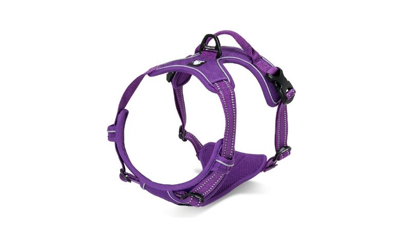 Dog Harness - Deluxe Mesh Purple (XL)