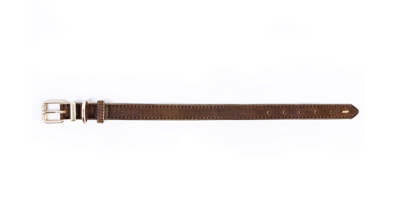 Stylish brown leather dog collar for small breeds, featuring padded lining and durable brushed metal hardware.