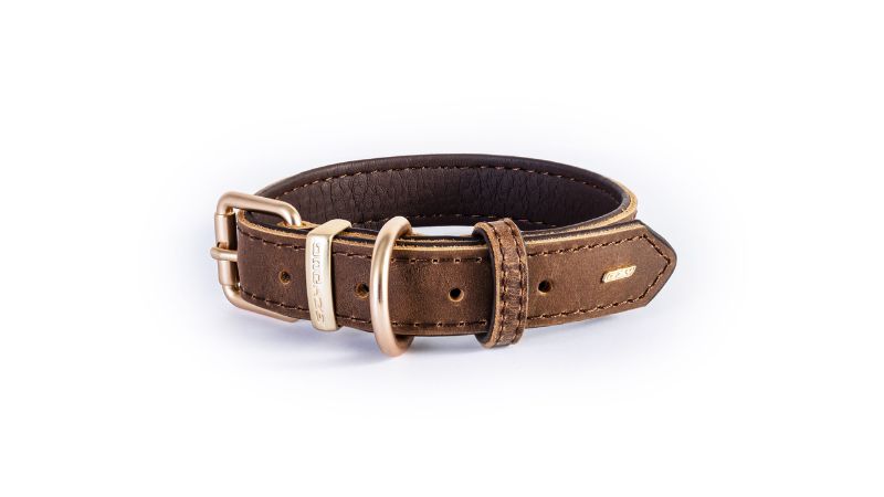 Stylish brown leather dog collar for small breeds, featuring padded lining, brushed metal hardware, and durable design.