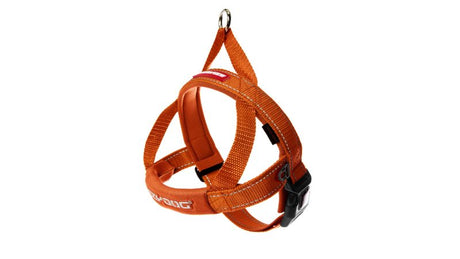 Vibrant orange ED QF S Dog Harness with neoprene chest strap, quick-fit buckle, and reflective stitching for safety.