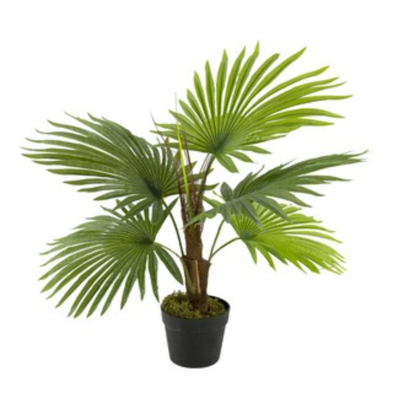 Lifelike 70cm Artificial Fan Palm Tree with 50% Real Touch leaves, perfect for home and office decor without maintenance.