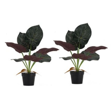 Set of 2 large 40cm faux Alocasia plants with realistic leaves, perfect for adding greenery to any space without maintenance.