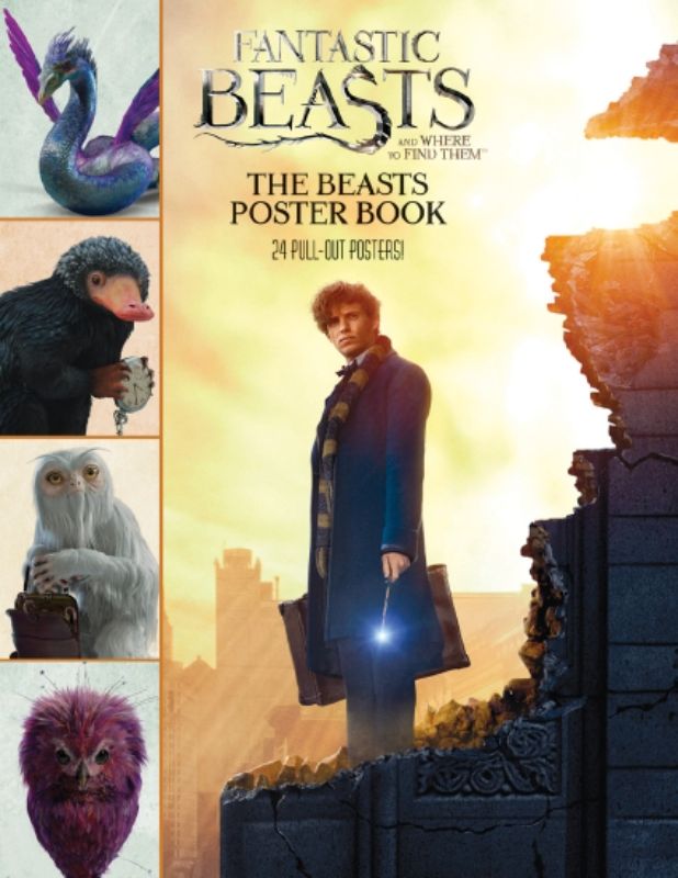 Colorful poster book featuring 12 double-sided illustrations of magical creatures from Fantastic Beasts and Where to Find Them.