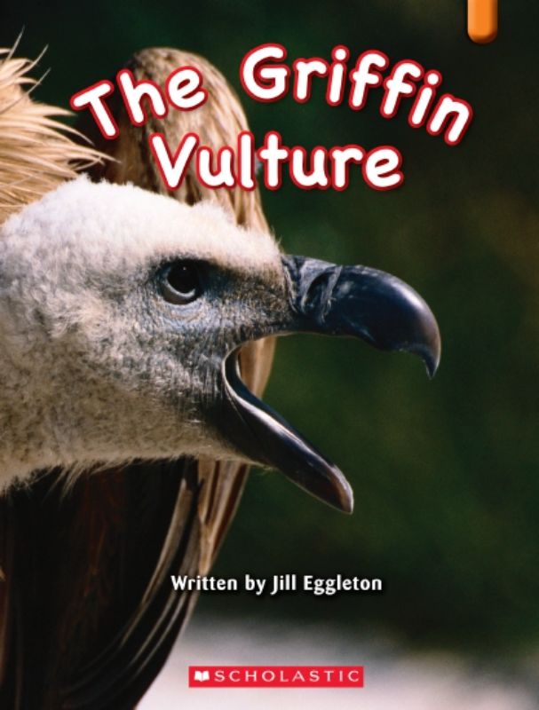 Key Links Orange: Griffin Vulture book cover featuring educational themes for enhancing students' reading and writing skills.
