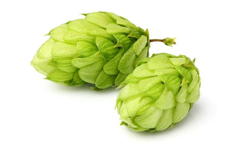 Mangrove Jack's USA Centennial Hop Pellets (100g) for brewing aromatic ales and IPAs with vibrant citrus and floral notes.
